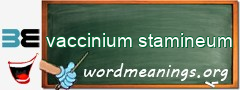 WordMeaning blackboard for vaccinium stamineum